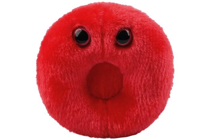 Giant Microbes Red Blood Cell For Sale — Skulls Unlimited