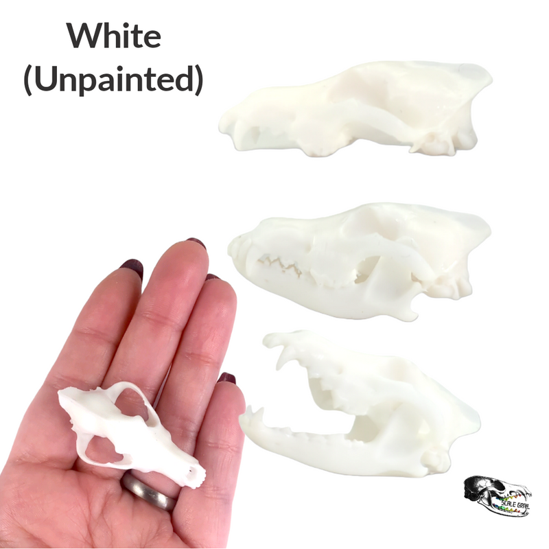 Gray Wolf Skull Replica - 1:6 Scale