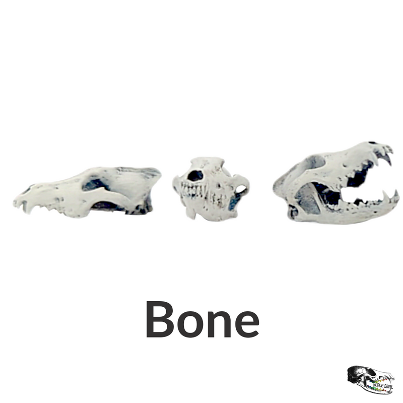 Gray Wolf Skull Replica - 1:12 Scale