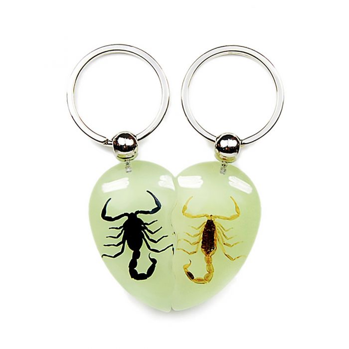 Real Scorpion Friendship Keychain in Acrylic - Single