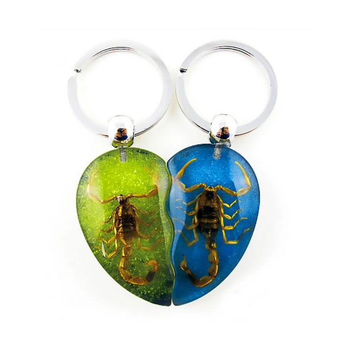 Real Scorpion Friendship Keychain in Acrylic - Single