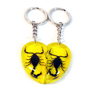Real Scorpion Friendship Keychain in Acrylic - Single