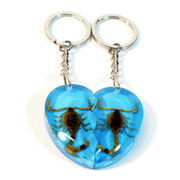 Real Scorpion Friendship Keychain in Acrylic - Single