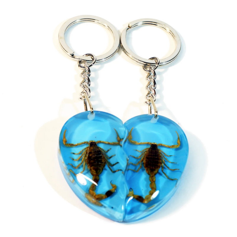 Real Scorpion Friendship Keychain in Acrylic - Single