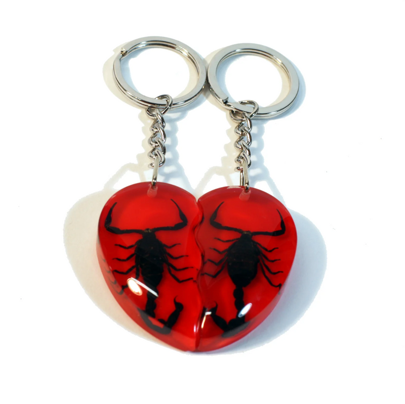 Real Scorpion Friendship Keychain in Acrylic - Single