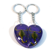 Real Scorpion Friendship Keychain in Acrylic - Single