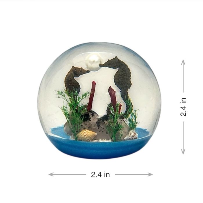 Real Seahorse in Acrylic Globe