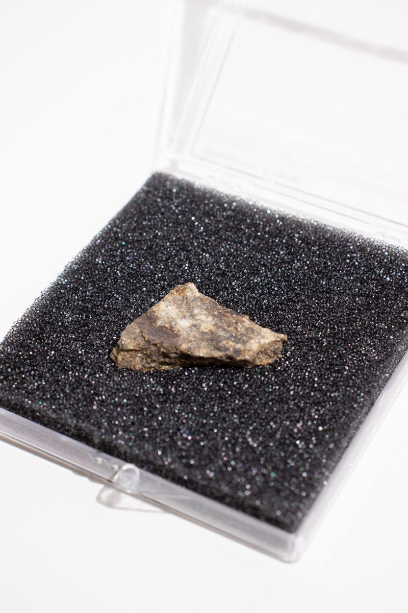 Shatter Cone Geological Specimen