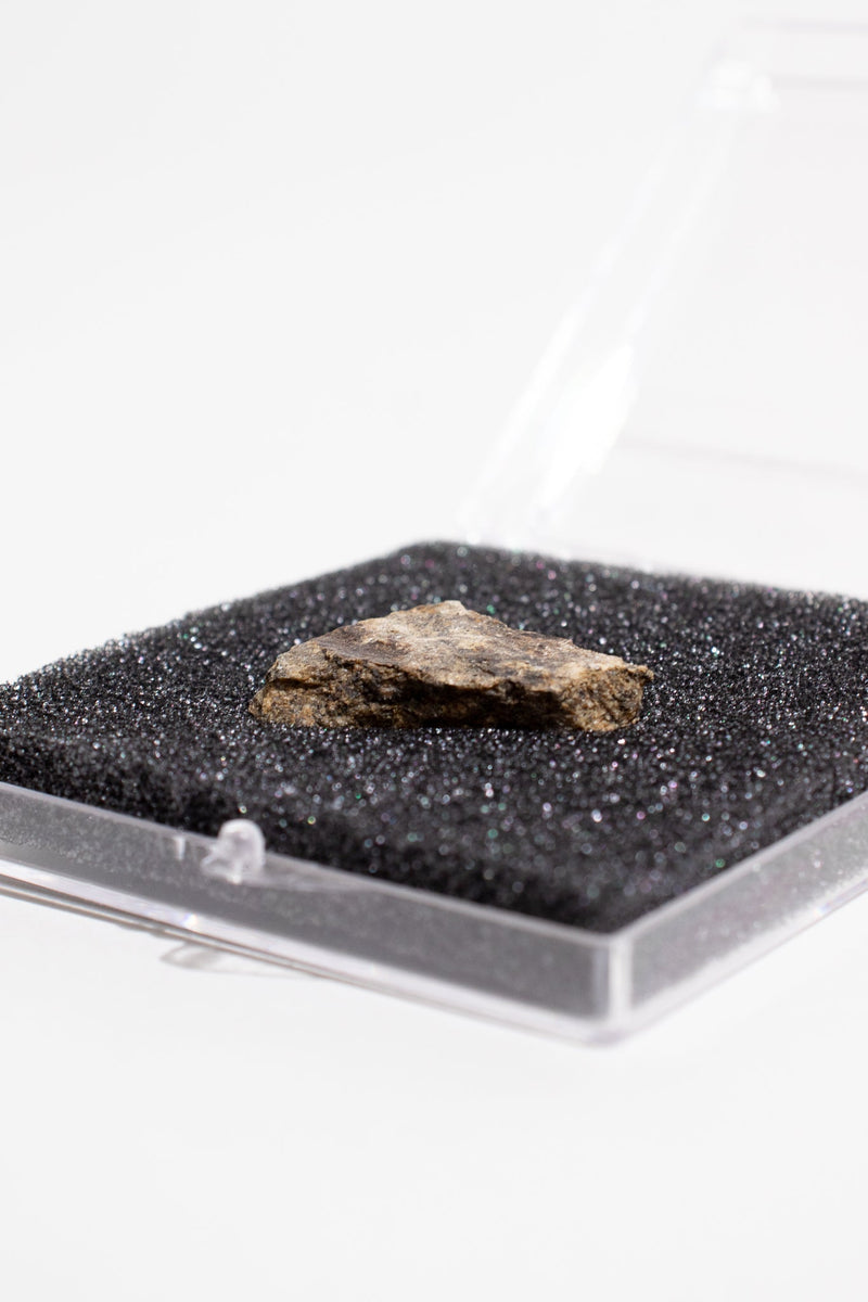 Shatter Cone Geological Specimen