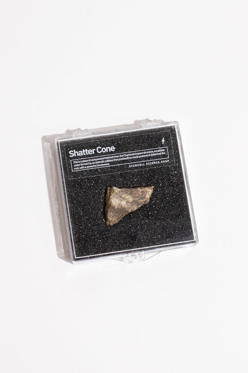 Shatter Cone Geological Specimen