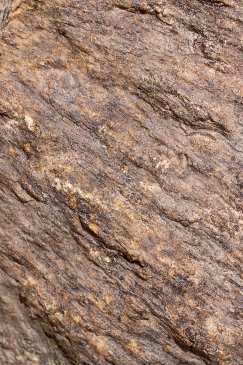 Shatter Cone Geological Specimen