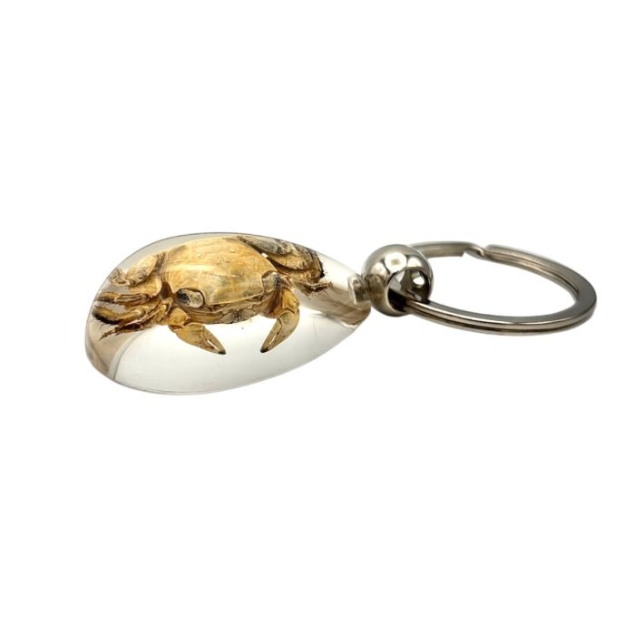 Real Crab in Acrylic Keychain