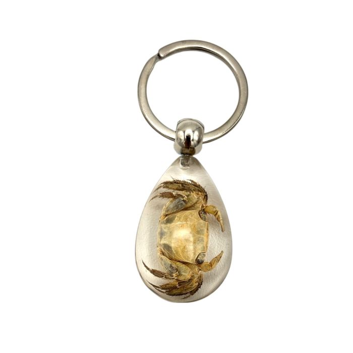 Real Crab in Acrylic Keychain