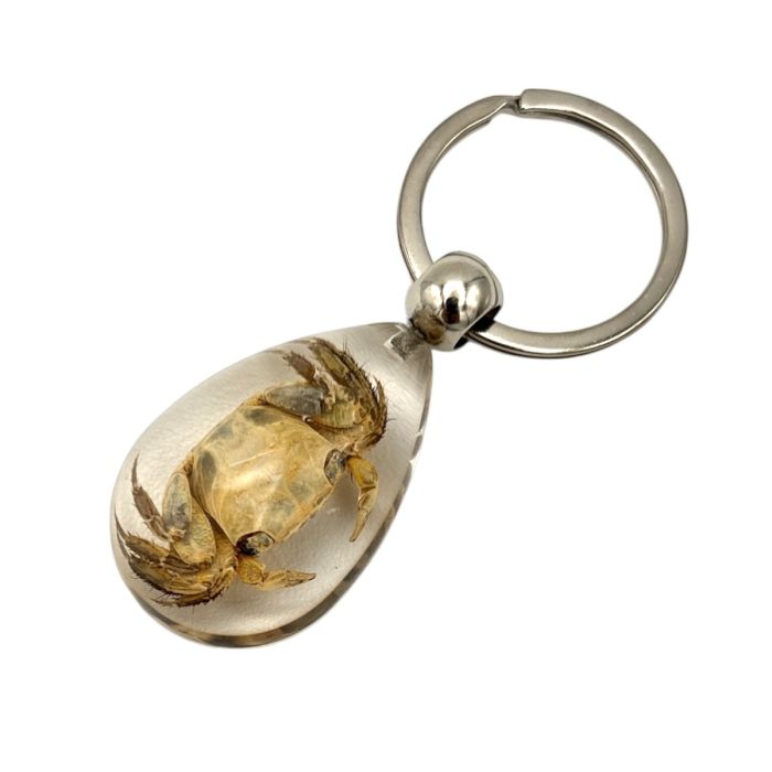 Real Crab in Acrylic Keychain