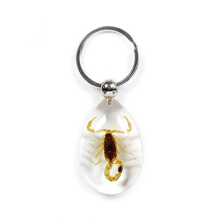 Real Golden Scorpion in Acrylic Keychain