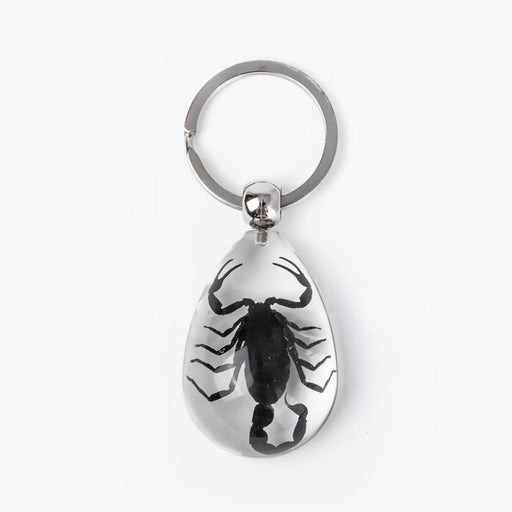 Real Black Scorpion in Acrylic Keychain