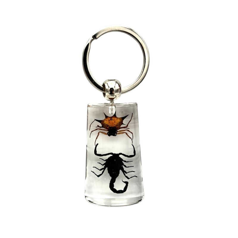 Real Spiny Spider and Black Scorpion in Acrylic Keychain