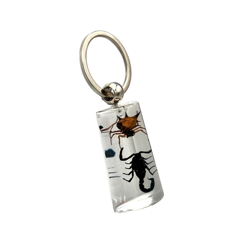 Real Spiny Spider and Black Scorpion in Acrylic Keychain