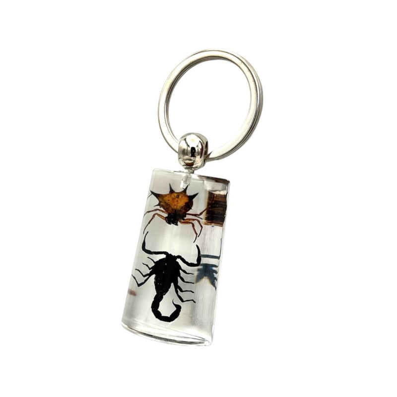 Real Spiny Spider and Black Scorpion in Acrylic Keychain