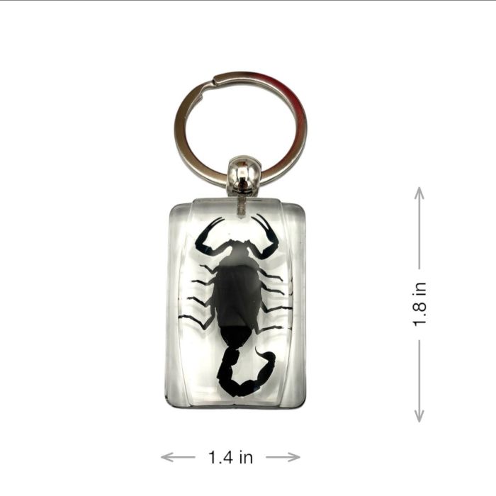 Real Black Scorpion In Acrylic Rectangle Keychain