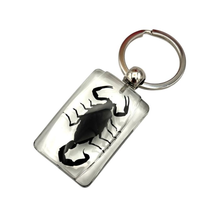 Real Black Scorpion In Acrylic Rectangle Keychain