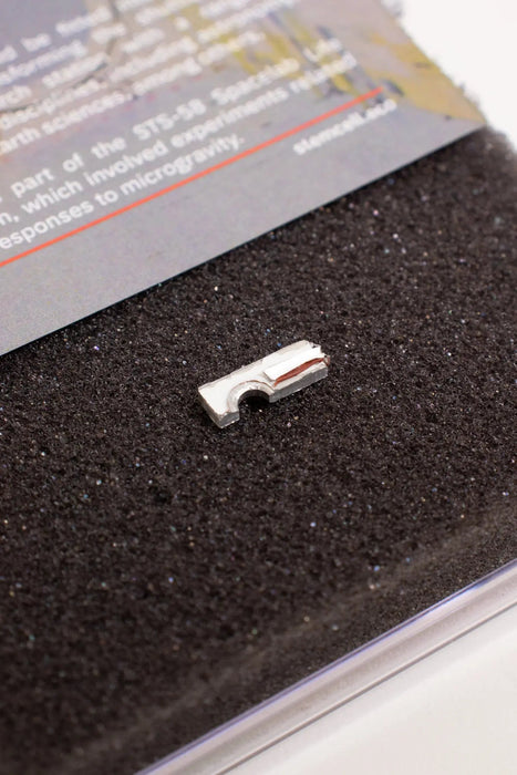 Spacelab Fragment Specimen