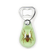 Real Acrylic Spider Bottle Opener