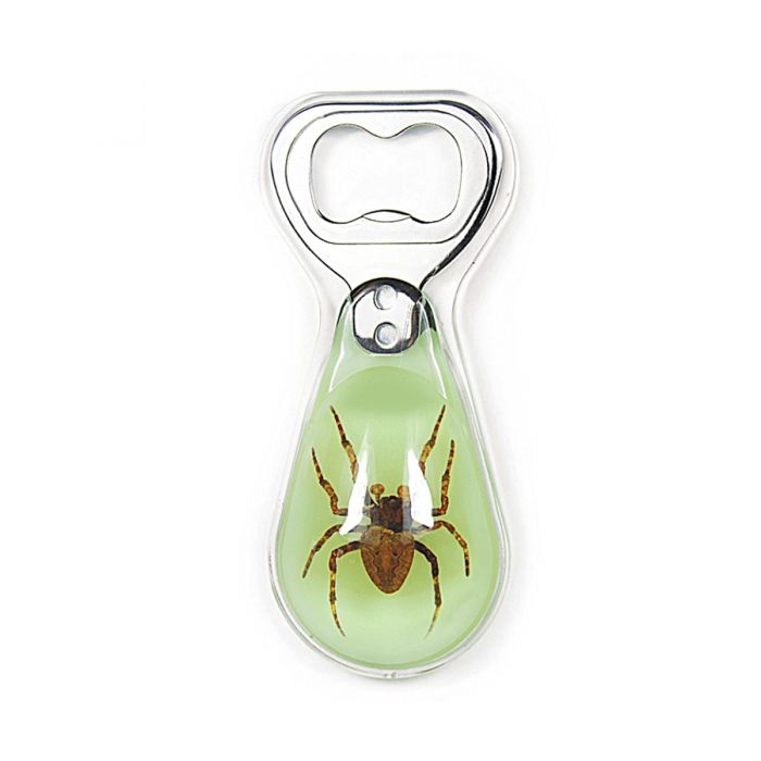 Real Acrylic Spider Bottle Opener