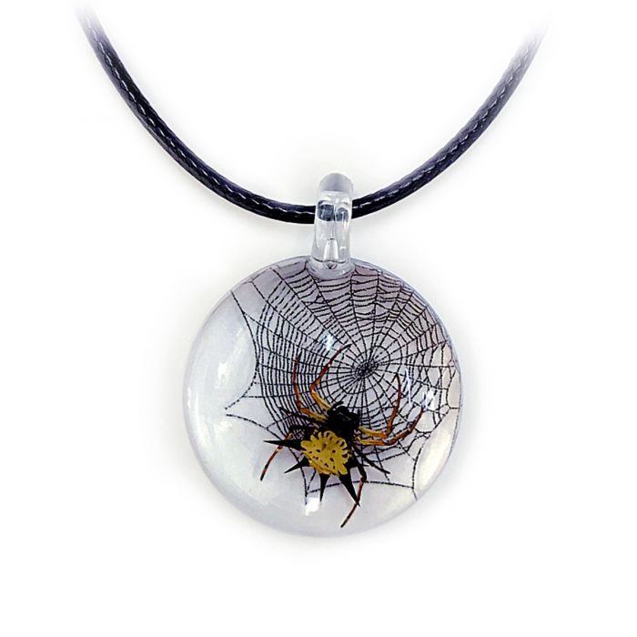 Real Spiny Spider with Web in Acrylic Necklace