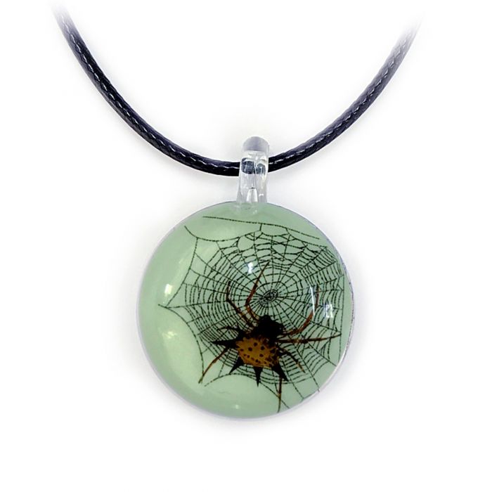 Real Spiny Spider with Web in Acrylic Necklace