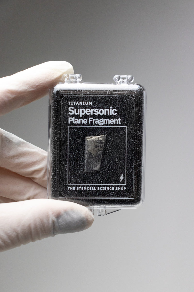 SR-71 Blackbird Titanium Skin Sample