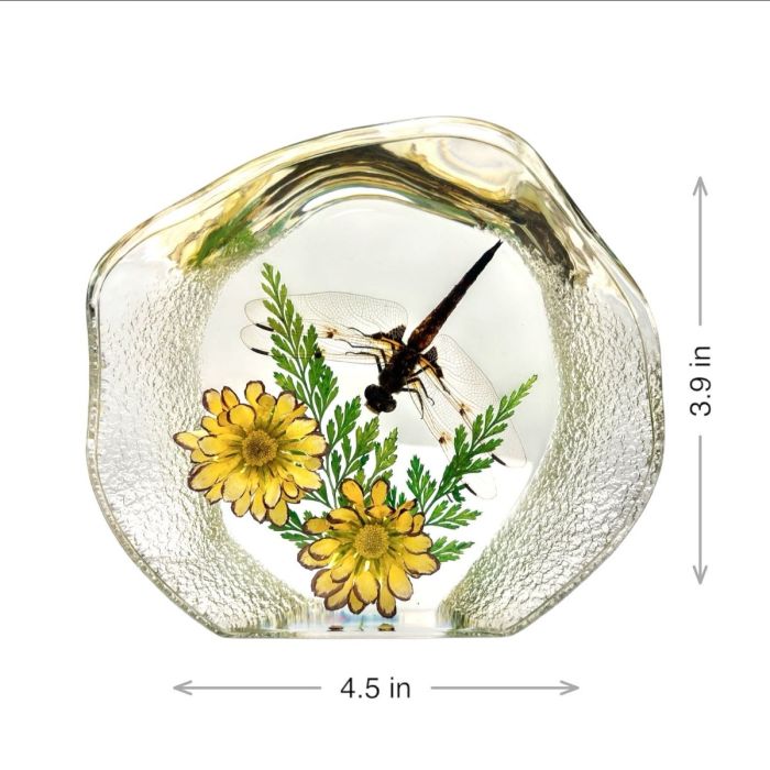 Real Dragonfly with Flowers Round Paperweight