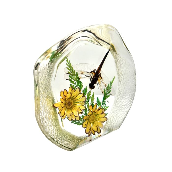 Real Dragonfly with Flowers Round Paperweight