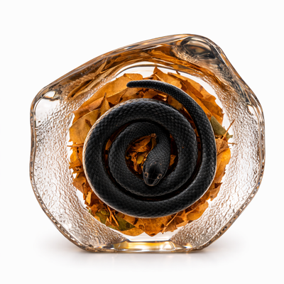 Snake with Leaves Acrylic Paperweight
