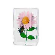 Real Insect and Flower in Acrylic