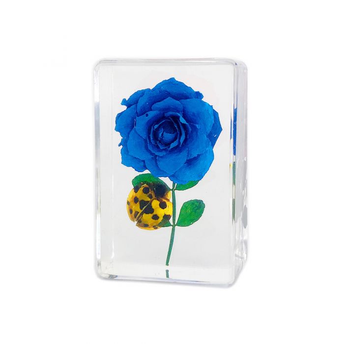 Real Insect and Flower in Acrylic