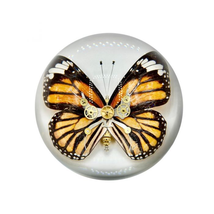 Real Common Tiger Butterfly in Acrylic Dome Paperweight