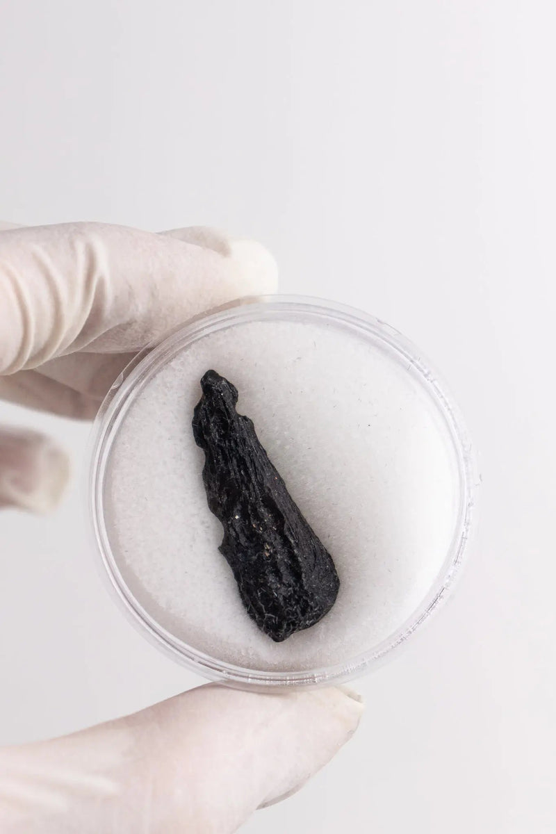 Tektite Specimen