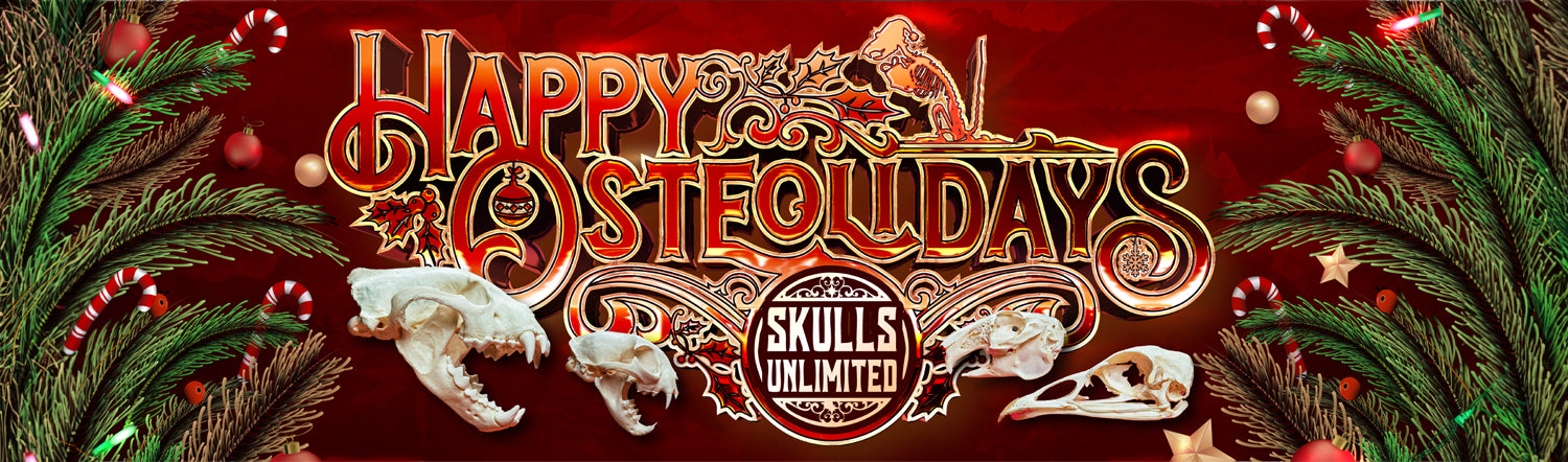 web banner 2.jpg__PID:825aa99f-e408-4d9b-bb7e-f29b907d1dc1