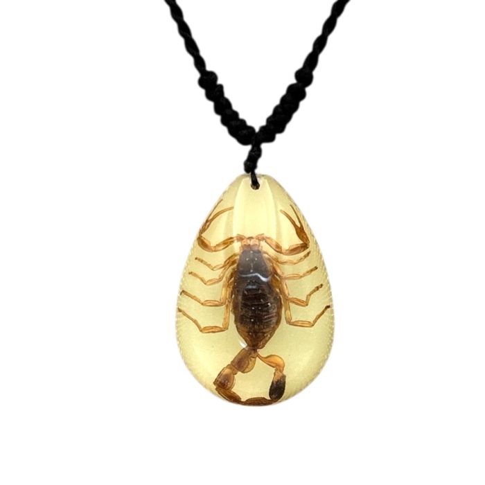 Real Golden Scorpion in Acrylic Necklace - Glow-In-The-Dark