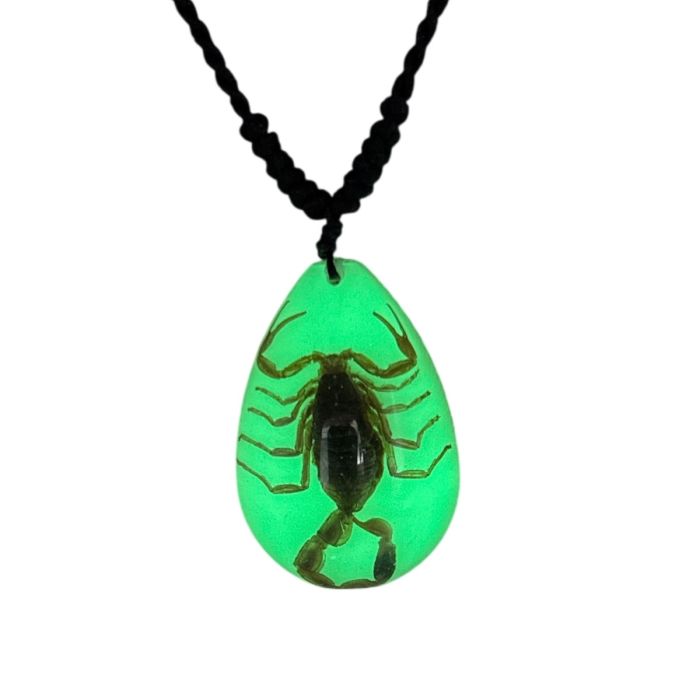 Real Golden Scorpion in Acrylic Necklace - Glow-In-The-Dark