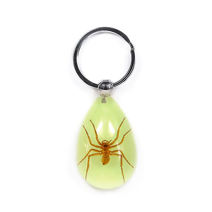 Real Acrylic Spider Keychain