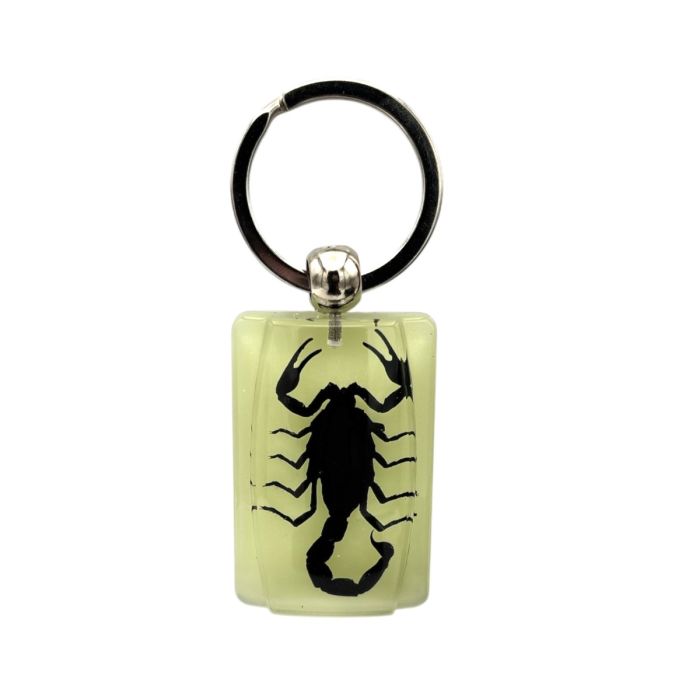 Real Black Scorpion in Glow in the Dark Acrylic Rectangle