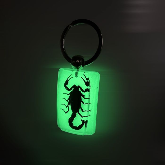 Real Black Scorpion in Glow in the Dark Acrylic Rectangle