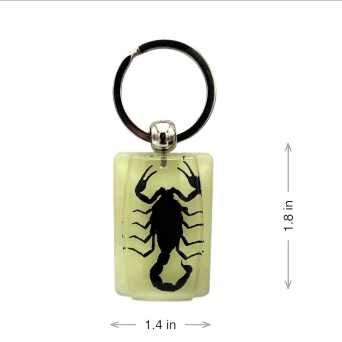 Real Black Scorpion in Glow in the Dark Acrylic Rectangle