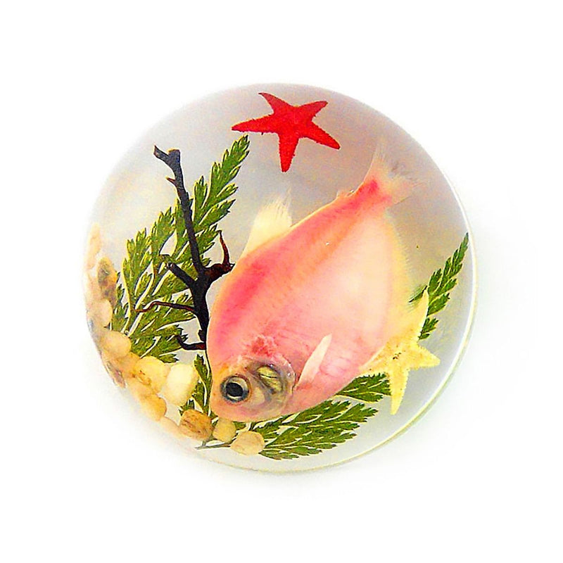 Pink Fish Acrylic Paperweight