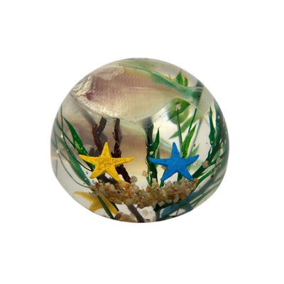 Fish in Acrylic Dome Paperweight