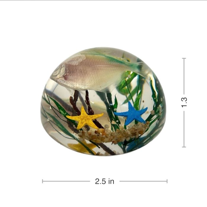 Fish in Acrylic Dome Paperweight