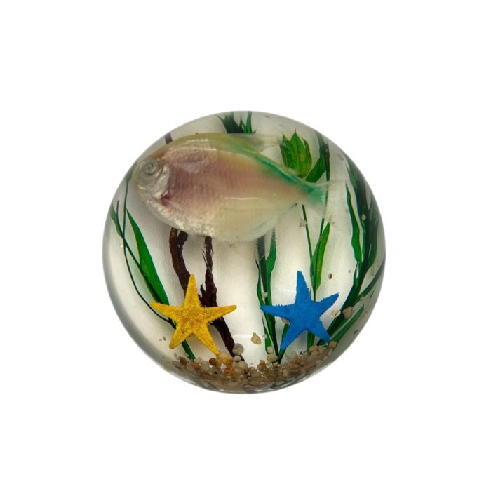 Fish in Acrylic Dome Paperweight