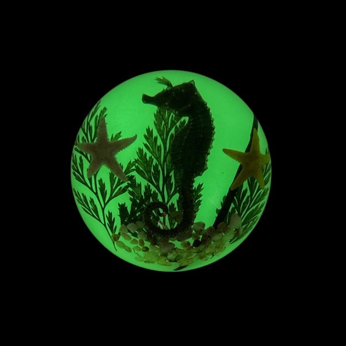 Seahorse Acrylic Dome Paperweight (Glows-In-The-Dark)